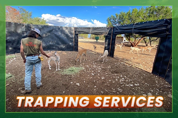 Trapping Services Trapping Services
